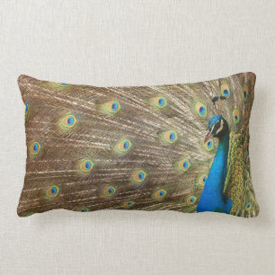 Rectangle Coussin de paon