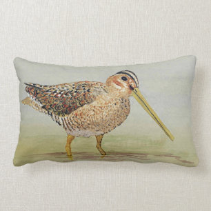 Rectangle Coussin de Snipe commun