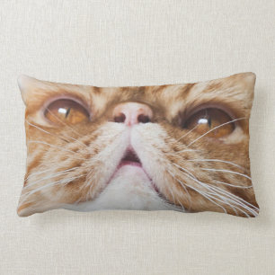 Rectangle coussin de souffle