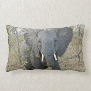 Rectangle Coussin d'éléphant africain