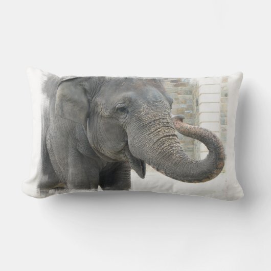 Rectangle Coussin d'éléphant de son de la trompette (Recto)