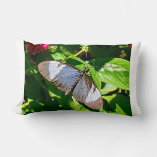 Rectangle Coussin d'image Bleu Papillon