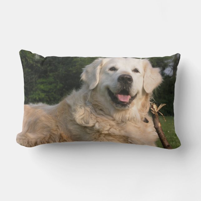 Rectangle Coussin doux de golden retriever (Recto)