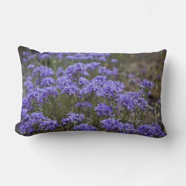 Rectangle Coussin Fleur sauvage violet 3 (Recto)
