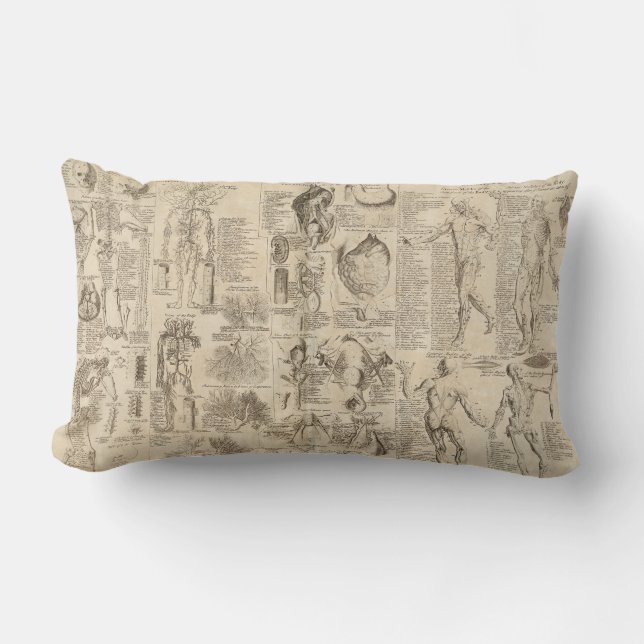 Rectangle Coussin humain vintage d'anatomie (Recto)