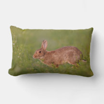 Coussin lombaire avec lapin dans un pré
