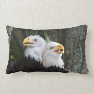 Rectangle Coussin lombaire chauve d'Eagle