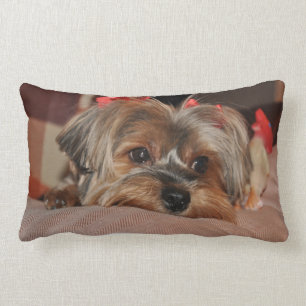 Rectangle Coussin lombaire de chiot de Yorkshire Terrier
