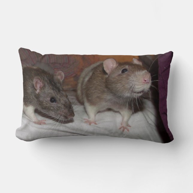 Rectangle coussin lombaire de rats (Recto)