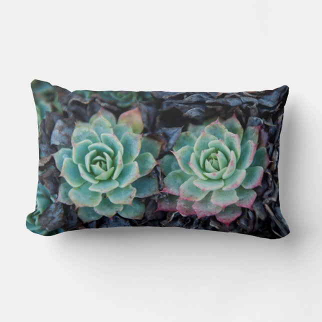 Rectangle Coussin lombaire de texture succulente de nature (Recto)
