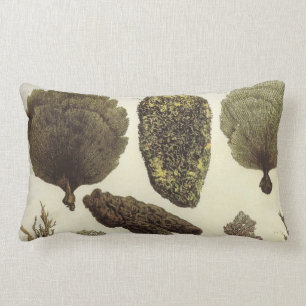 Rectangle Coussin lombaire de vie marine nautique de