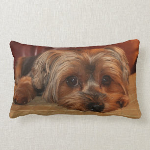 Rectangle Coussin lombaire de Yorkshire Terrier