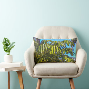 Rectangle Coussin Lombaire Schefflera Umbrellas