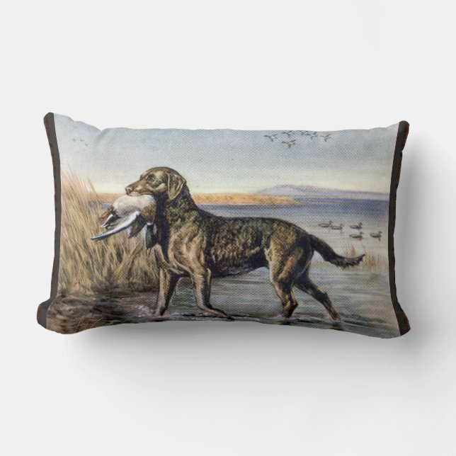 Rectangle Coussin lombaire vintage de chien d'eau (Recto)