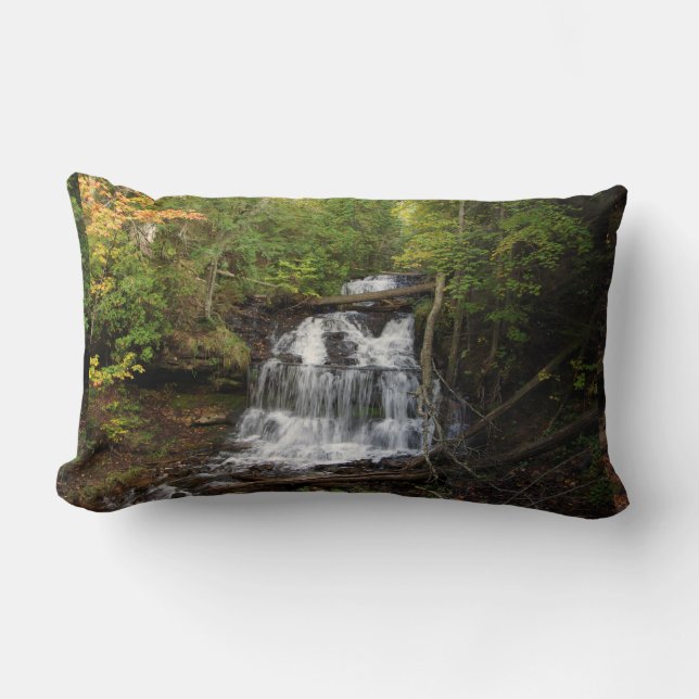 Rectangle Coussin lombaire Wagner Fall (Recto)