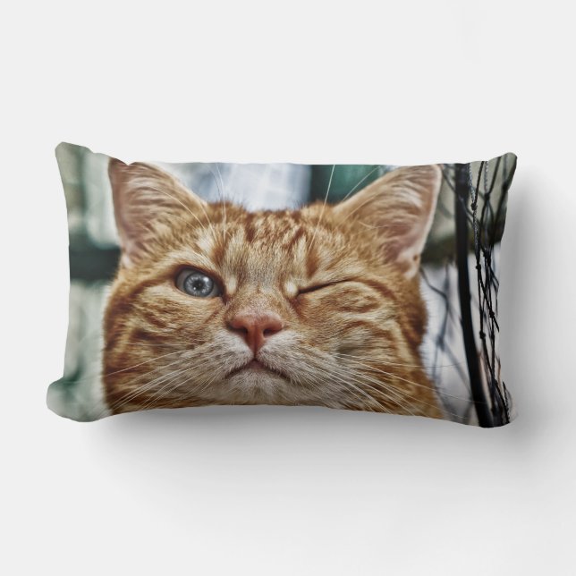 Rectangle Coussin Lumbar 13 pouces x 21 pouces (Recto)