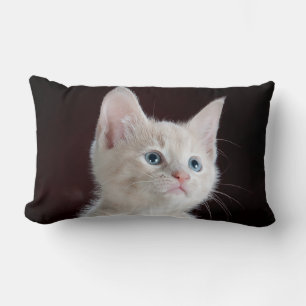 Rectangle Coussin Lumbar 13 pouces x 21 pouces