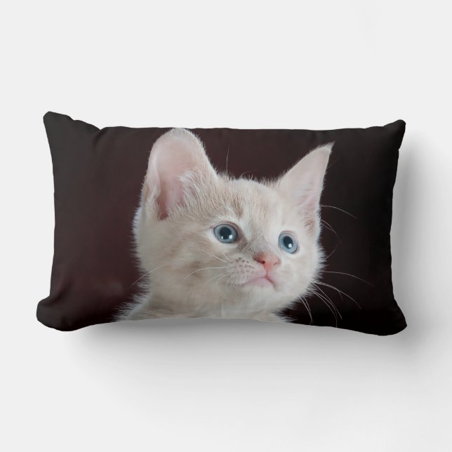 Rectangle Coussin Lumbar 13 pouces x 21 pouces (Recto)