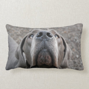 Rectangle Coussin museau de dogue