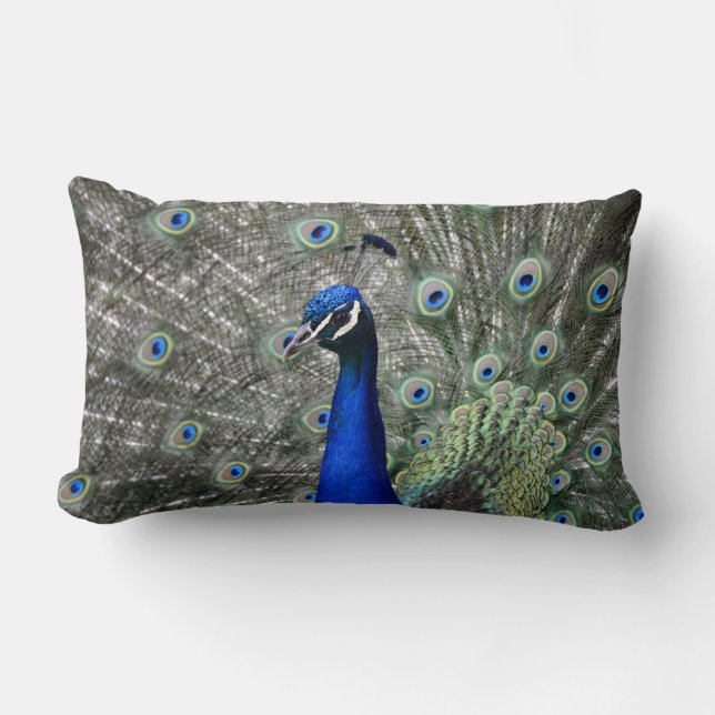 Rectangle Coussin Peacock (Recto)