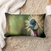 Rectangle Coussin photo de l'oiseau (Couverture)