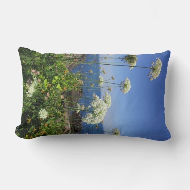 Rectangle Coussin Queen Anne Lumbar (Recto)