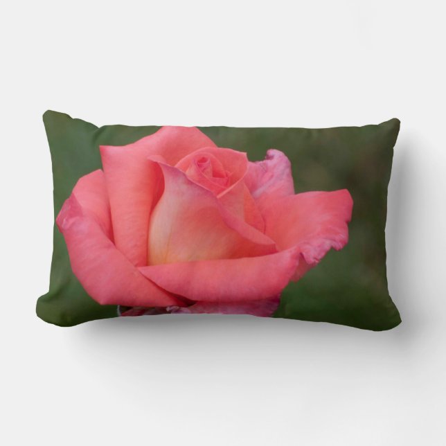 Rectangle Coussin rose (Recto)