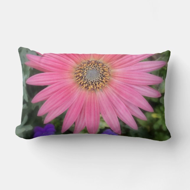 Rectangle Coussin rose Gerbera Daisy Lumbar (Recto)