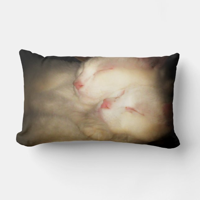 Rectangle Coussin somnolent de Kittys (Recto)