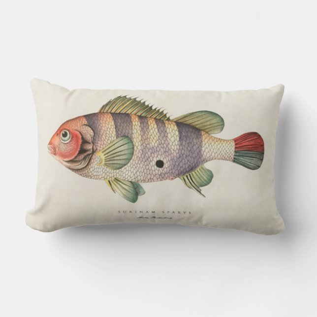 Rectangle Coussin vintage d'image de poissons (Recto)