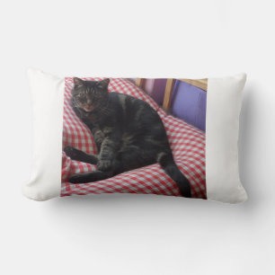 Rectangle Cute Dave Lumbar Coussin