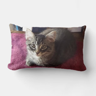 Rectangle Cute Kitten Coussin à 2 côtés