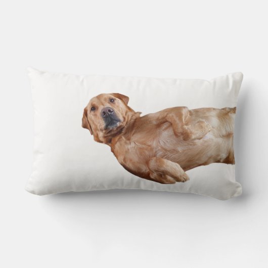 Rectangle Fox rouge coussin du Labrador (Verso)