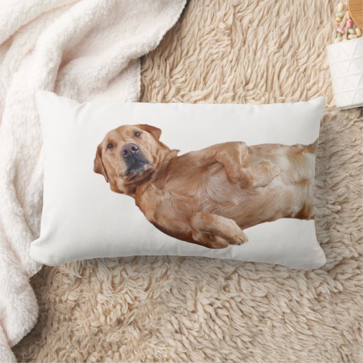 Rectangle Fox rouge coussin du Labrador (Couverture)