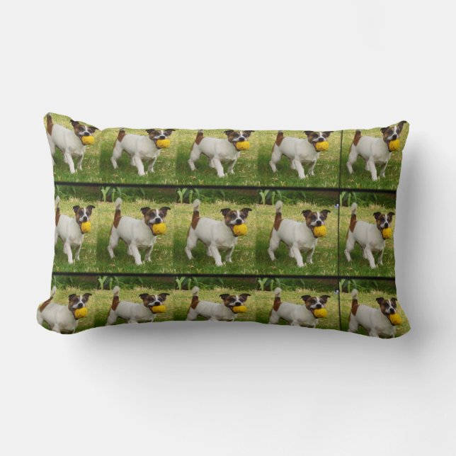 Rectangle Fox Terrier Avec Son Coussin À Balle Lumbar. (Recto)