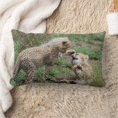 Rectangle Guépards jouant le coussin (Couverture)