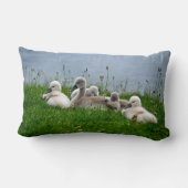Rectangle Jeunes cygnes mignons de cygne - coussin (Verso)