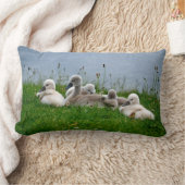 Rectangle Jeunes cygnes mignons de cygne - coussin (Couverture)