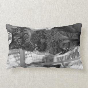 Rectangle Joli coussin lumineux de yeux de Kitty