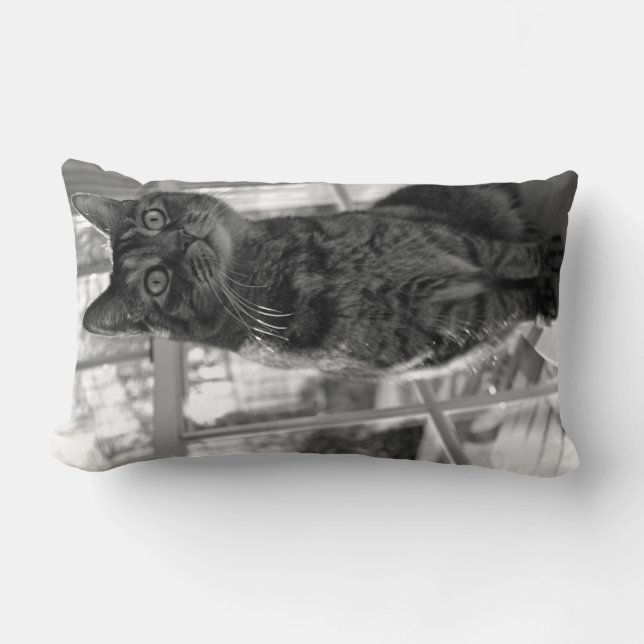 Rectangle Joli coussin lumineux de yeux de Kitty (Recto)