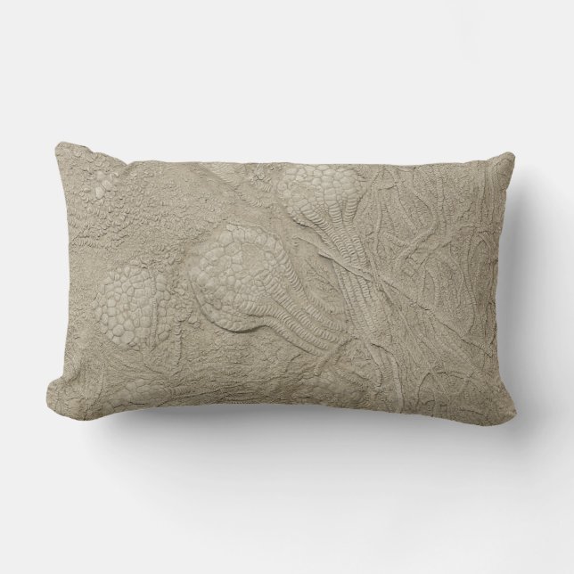 Rectangle La collection fossile de coussin (Recto)