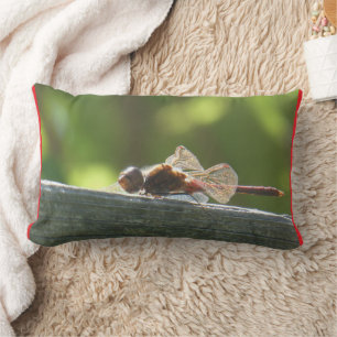 Rectangle La libellule rouge dans le Coussin solaire