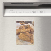 Rectangle Magnet Magneet (Insitu (Vaatwasser))