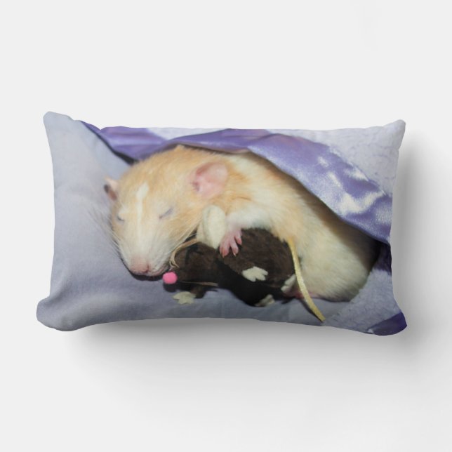 Rectangle Marty Dormir avec RatTeddy Coussin 16x16 (Recto)