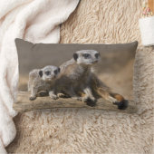 Rectangle Montre avec le coussin de mère (Couverture)
