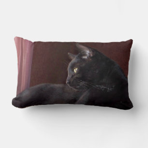 Rectangle My Boy, Charlie Throw Lumbar Coussin 13" x 21"