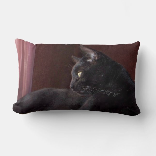 Rectangle My Boy, Charlie Throw Lumbar Coussin 13" x 21" (Recto)