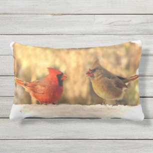 Rectangle Oiseaux cardinaux dans le coussin extérieur anima