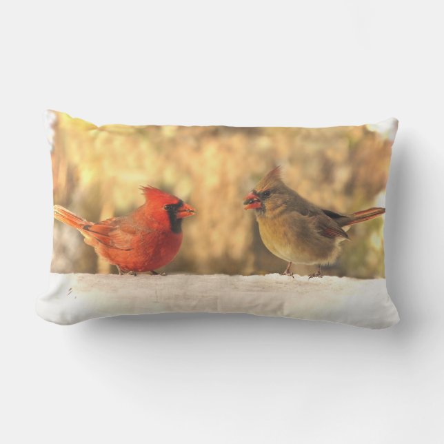 Rectangle Oiseaux cardinaux dans le coussin extérieur animal (Recto)