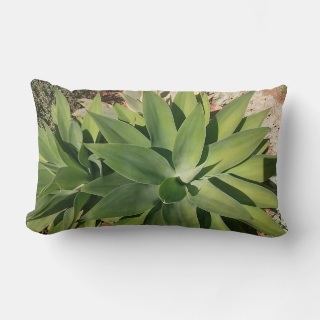 Rectangle Plants de succulents verts Coussin de jeté (Recto)
